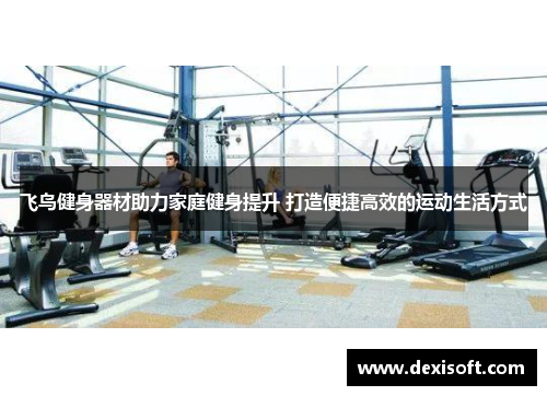 飞鸟健身器材助力家庭健身提升 打造便捷高效的运动生活方式