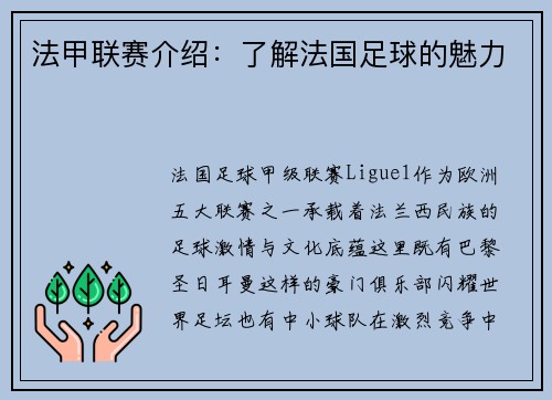 法甲联赛介绍：了解法国足球的魅力