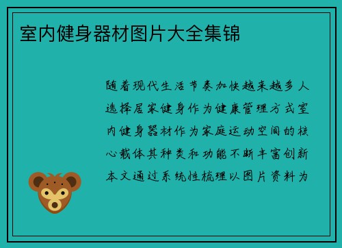 室内健身器材图片大全集锦